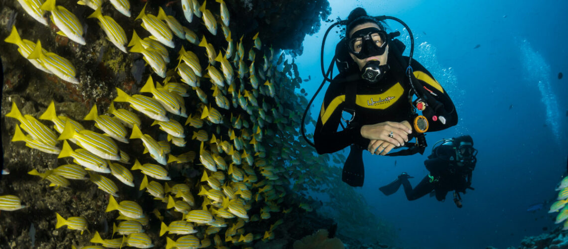 a scuba diver and a school of fish