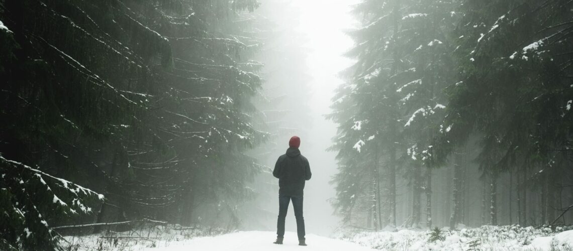Walking on a snowy tree lined path